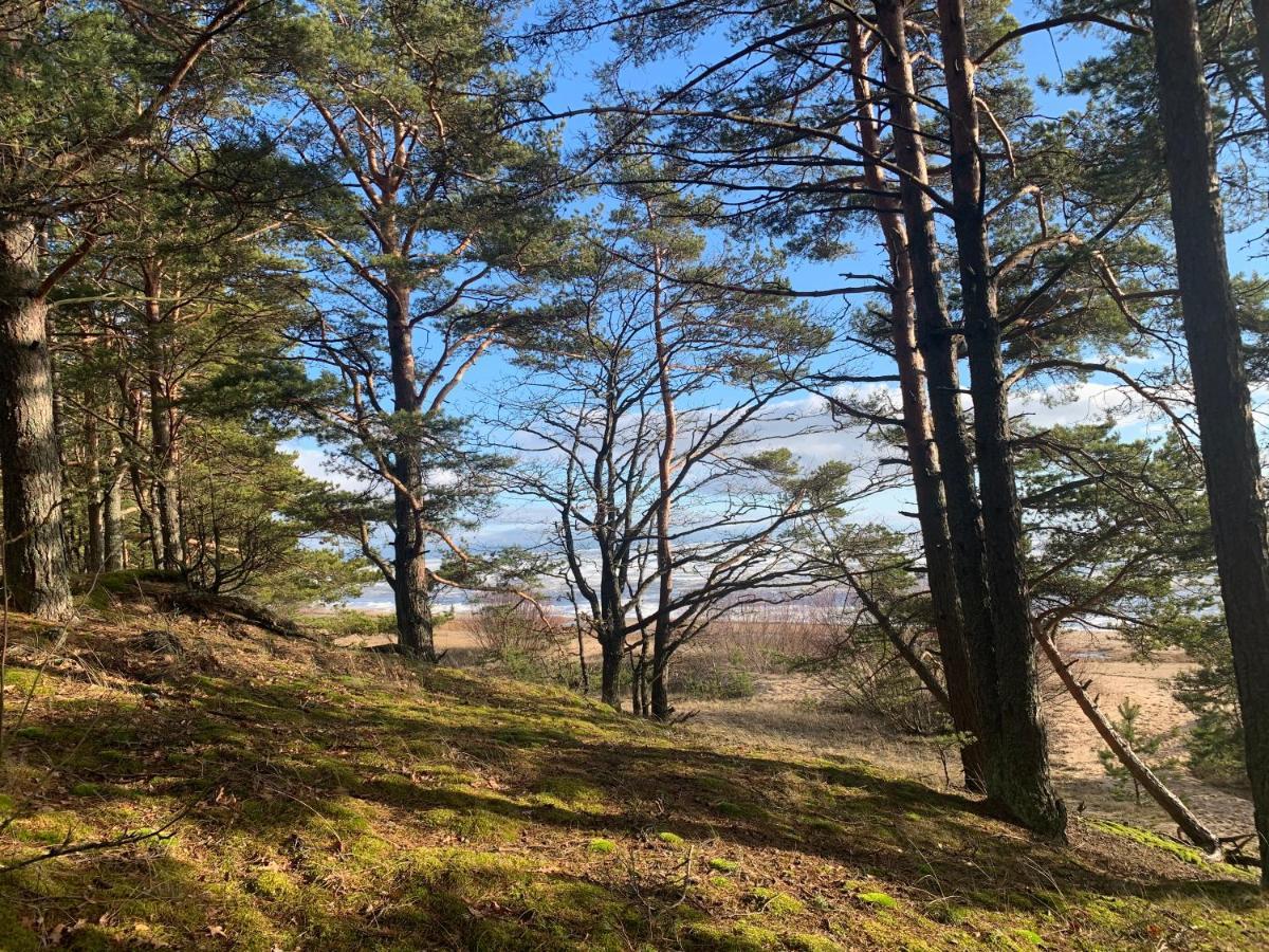 Valsid Puhkemaja *